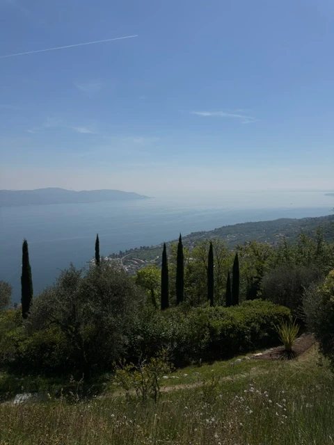 Ulivi e pendii sul Garda dal Lefay