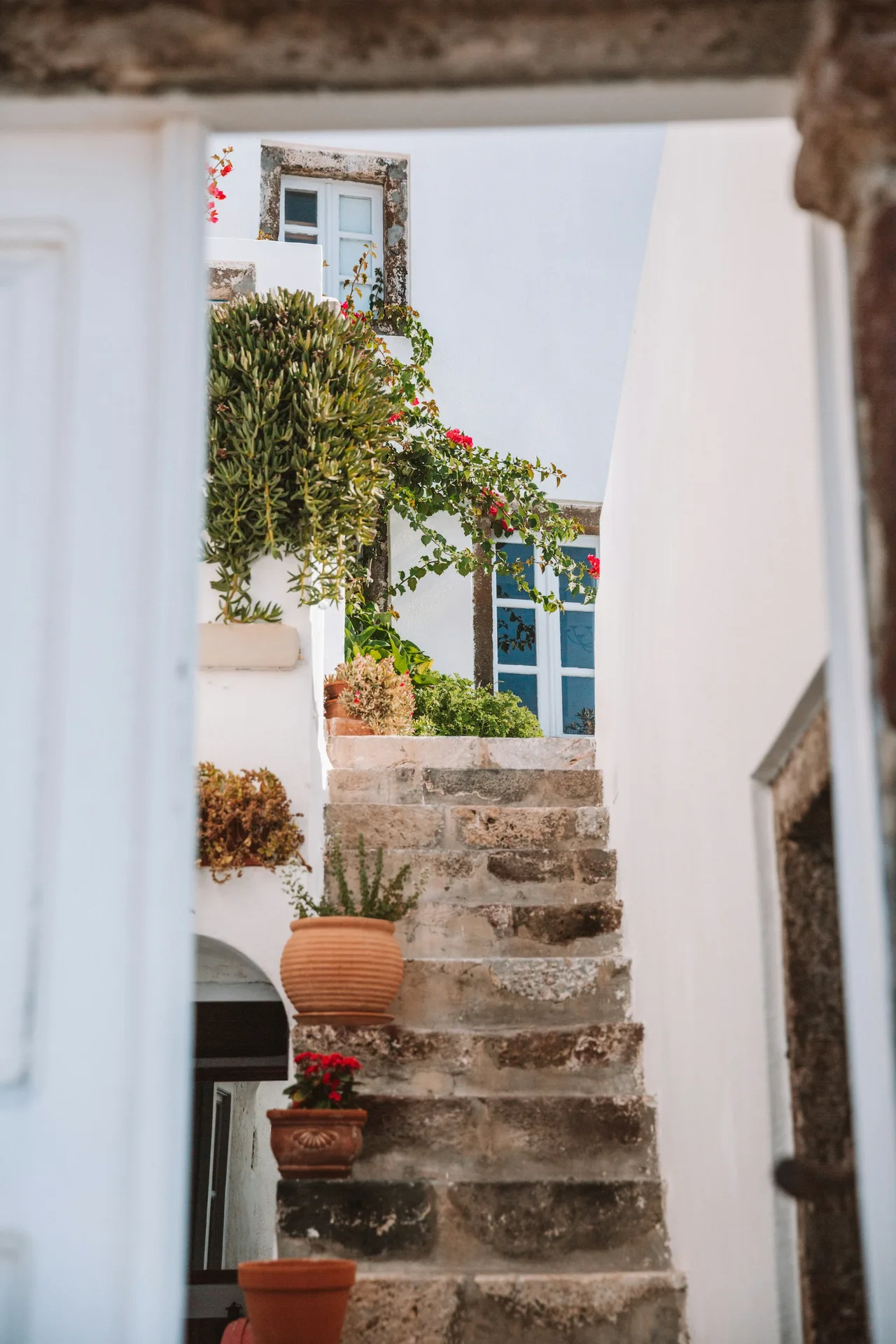 Scalinata tra case bianche, piante e fiori a Santorini